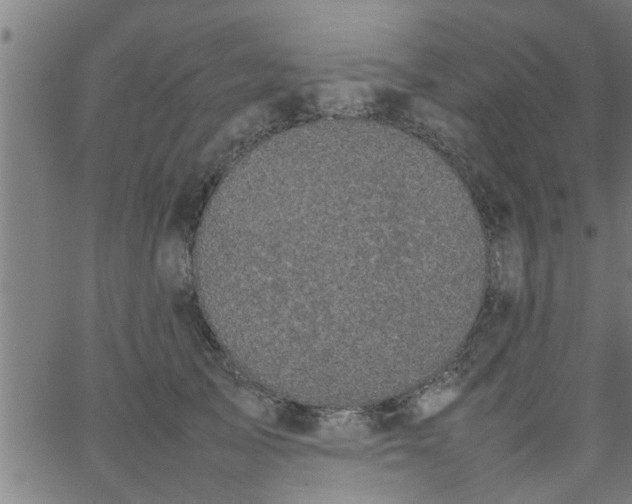 X0000066540705200603311845