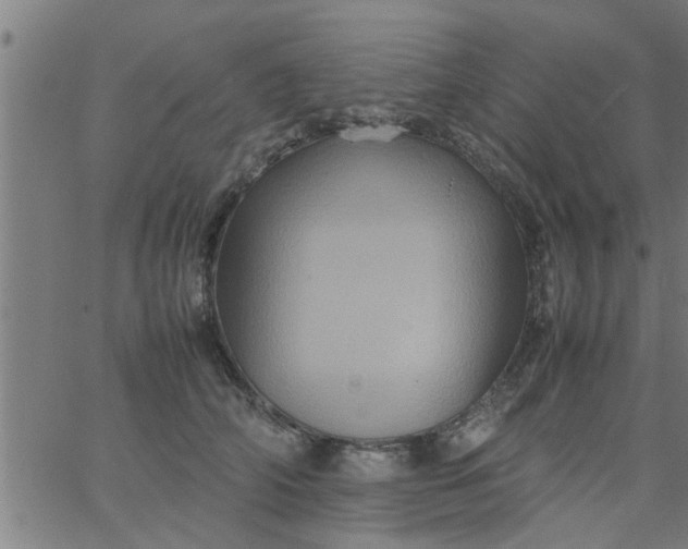 X0000066540706200603311845