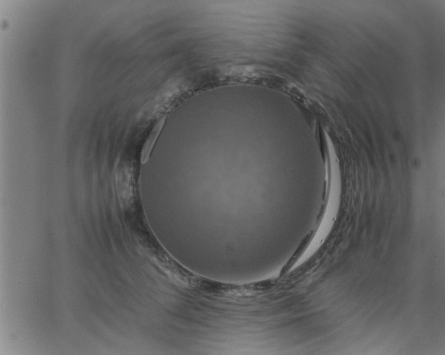 X0000066540708200603311845