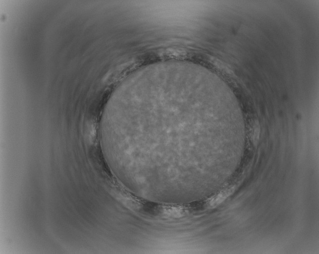 X0000066540709200603311845