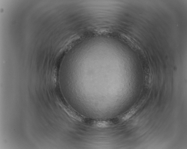 X0000066540710200603311845