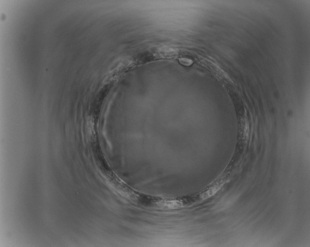 X0000066540711200603311845