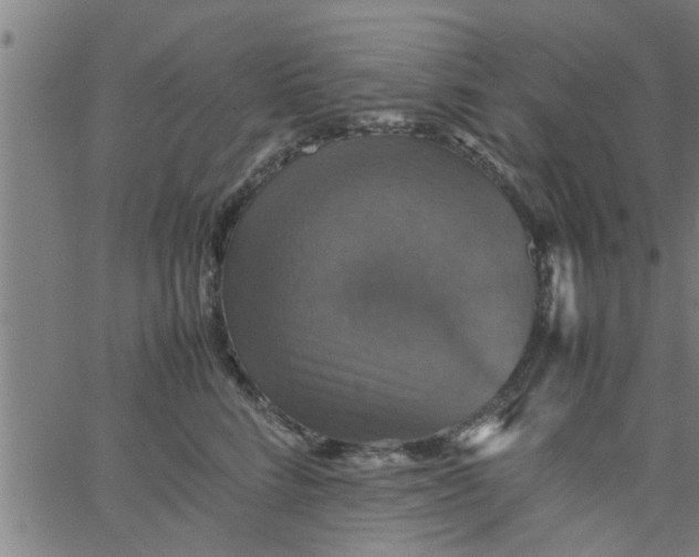 X0000066540712200603311845