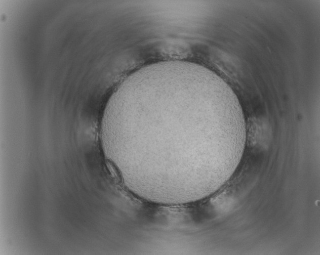 X0000066540713200603311845