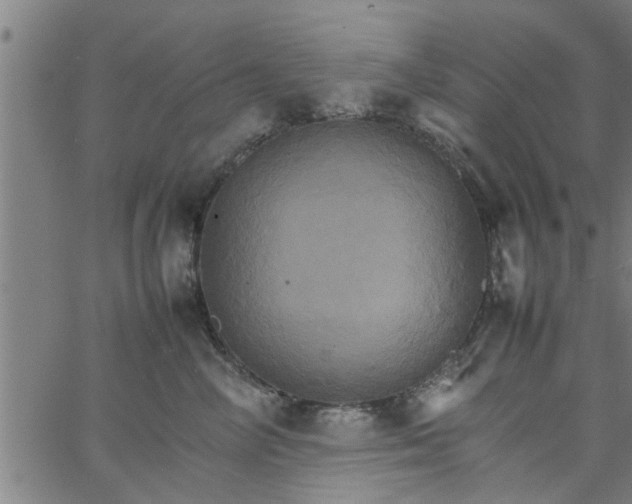 X0000066540714200603311845