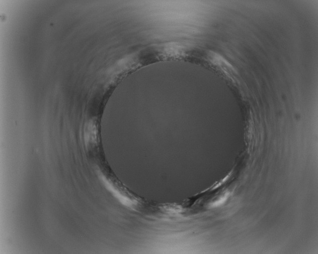 X0000066540715200603311845