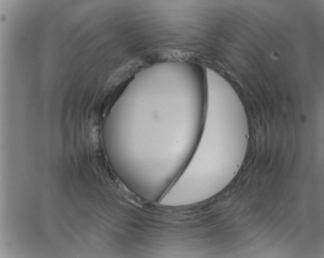 X0000066540716200603311845