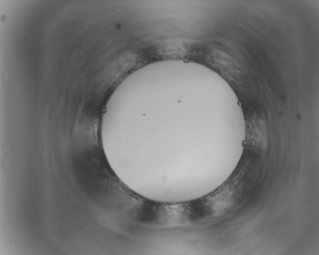 X0000066540717200603311845