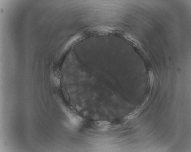 X0000066540719200603311845