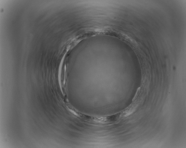 X0000066540720200603311845