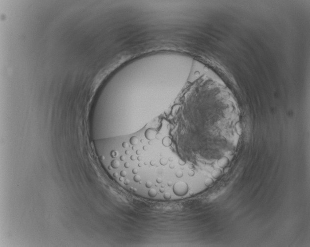 X0000066540721200603311844