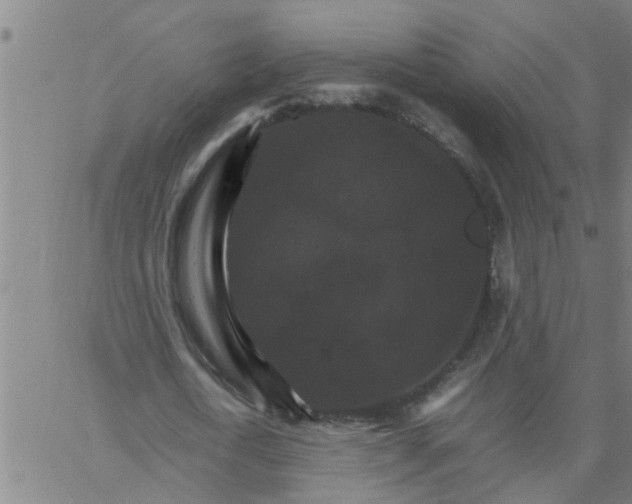 X0000066540722200603311844