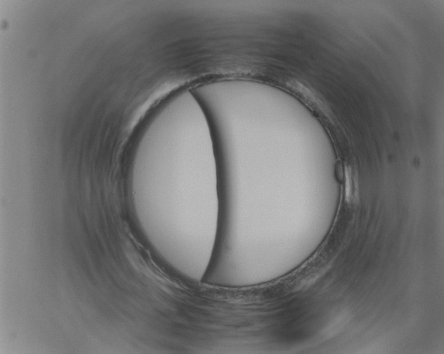 X0000066540723200603311844