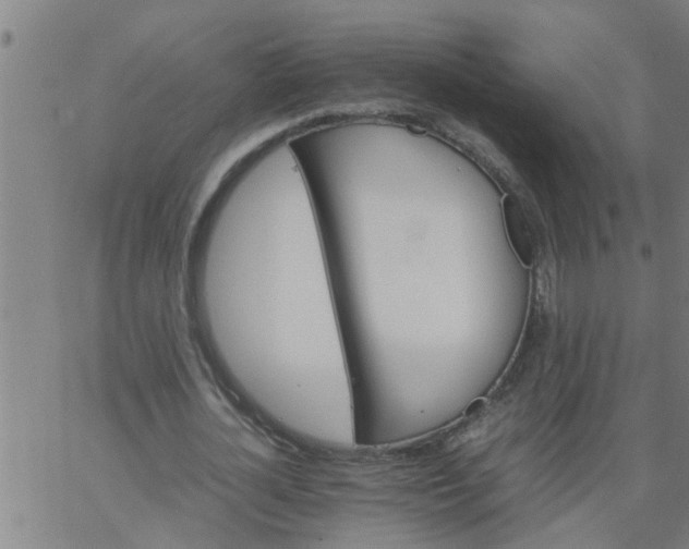 X0000066540724200603311844