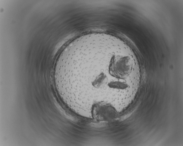 X0000066540725200603311844