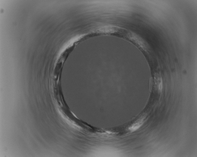 X0000066540726200603311844