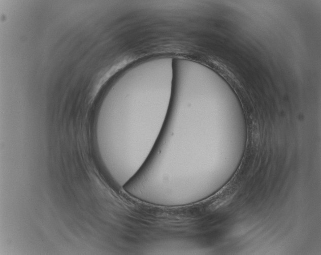 X0000066540727200603311844