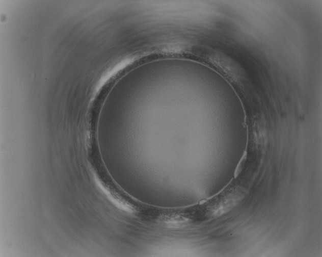 X0000066540728200603311844