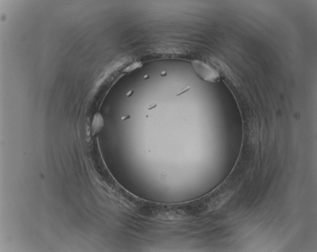 X0000066540731200603311844