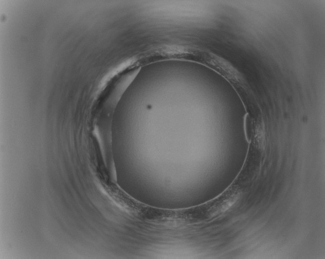 X0000066540732200603311844