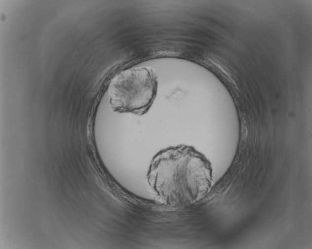 X0000066540733200603311844