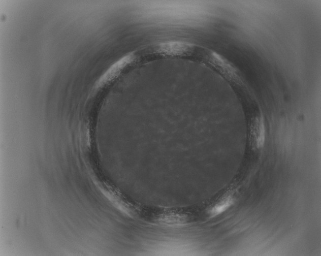 X0000066540734200603311844