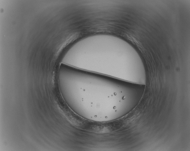 X0000066540735200603311844