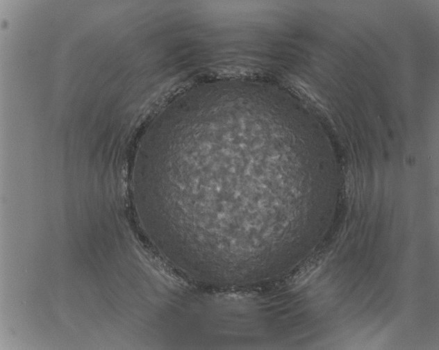 X0000066540737200603311844