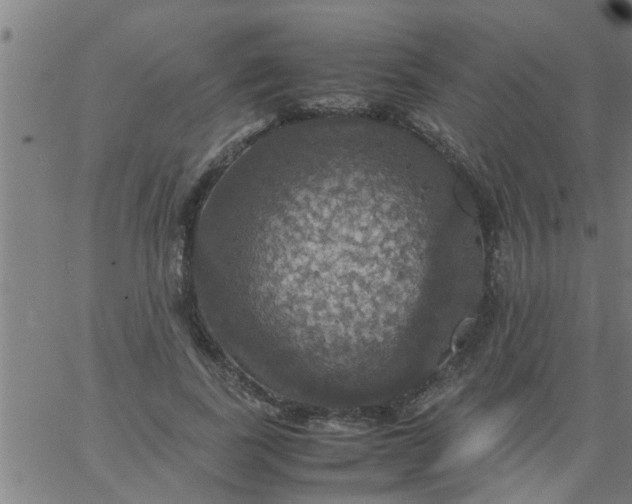 X0000066540739200603311844