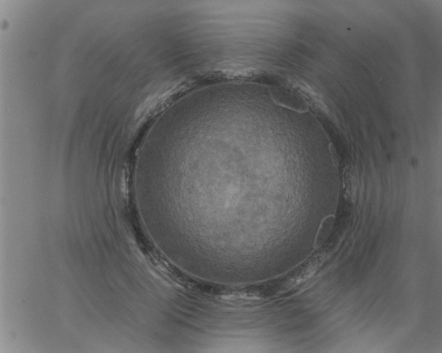 X0000066540740200603311844