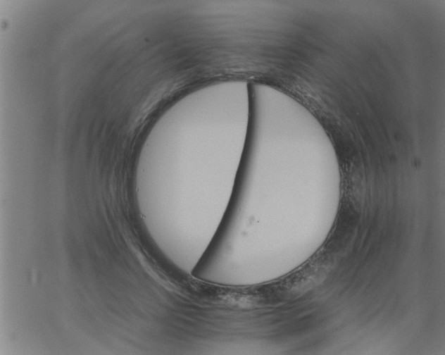 X0000066540742200603311844