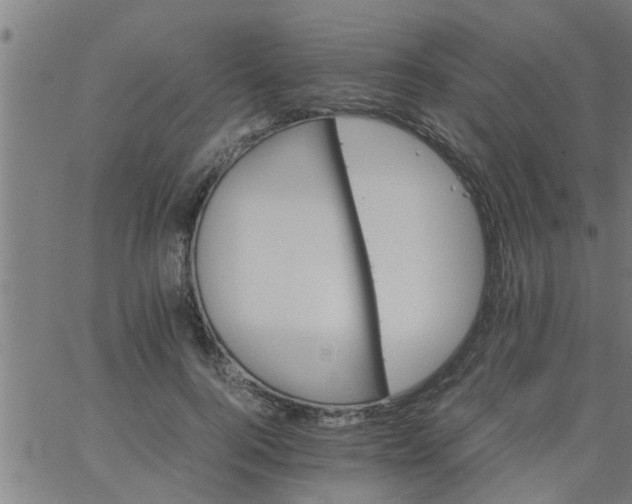 X0000066540744200603311844