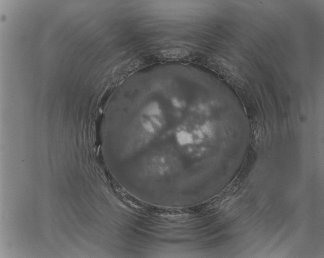 X0000066540745200603311844