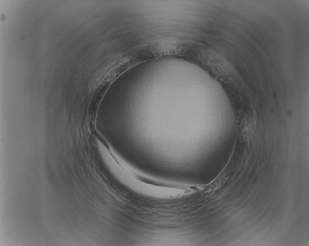 X0000066540746200603311844