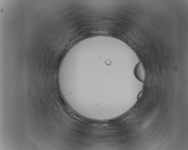 X0000066540747200603311844