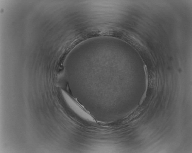 X0000066540748200603311844