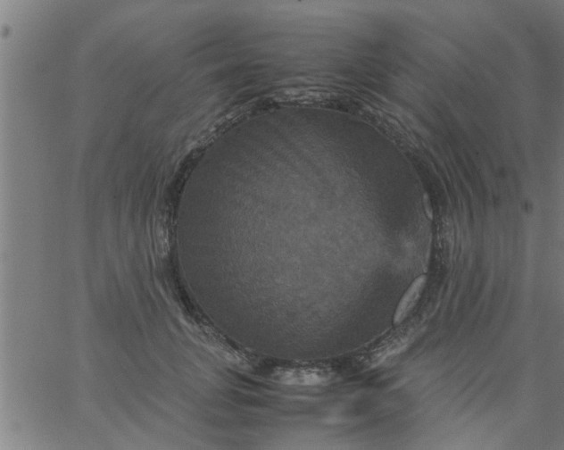 X0000066540751200603311845