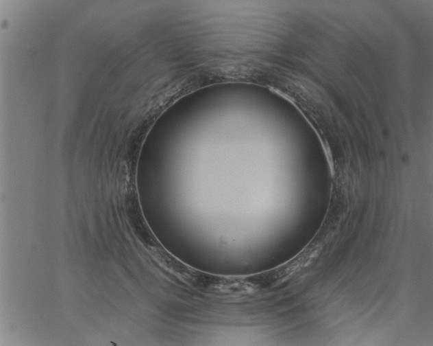 X0000066540752200603311845