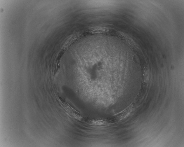 X0000066540753200603311845