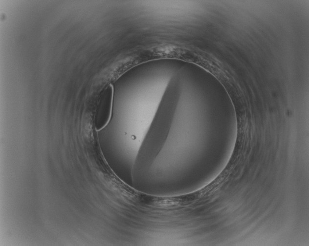 X0000066540754200603311845