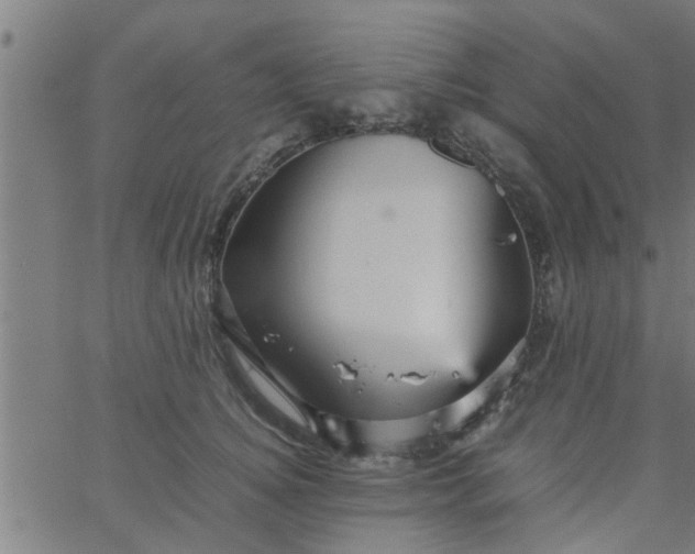 X0000066540756200603311845