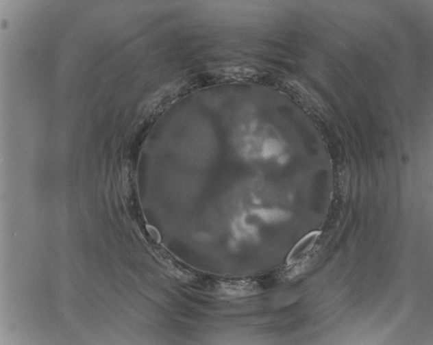 X0000066540757200603311845