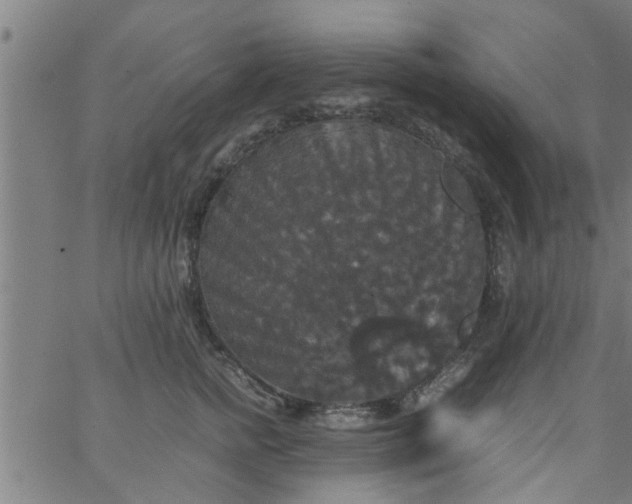 X0000066540758200603311845