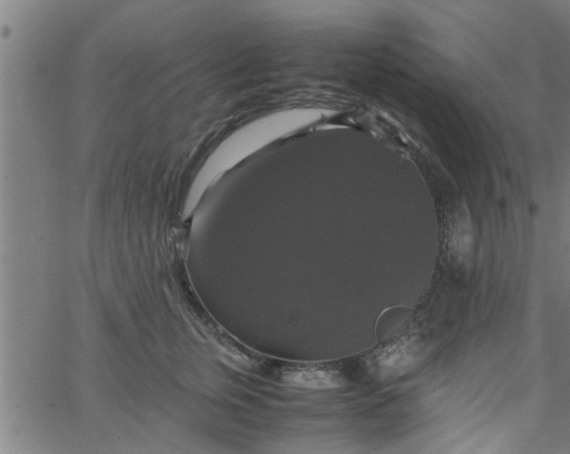 X0000066540759200603311845