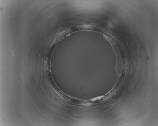 X0000066540760200603311845