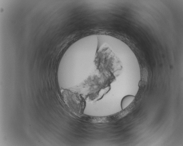 X0000066540761200603311845