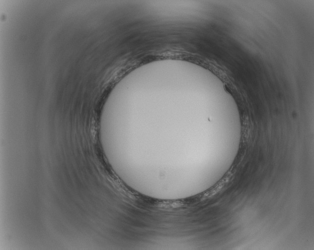 X0000066540762200603311845