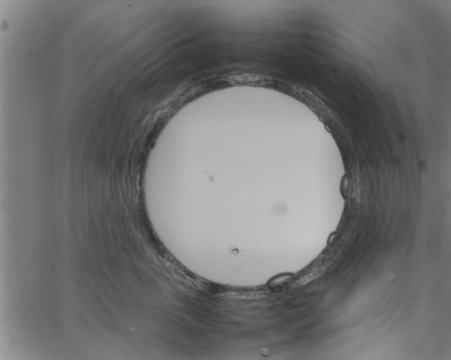 X0000066540763200603311845