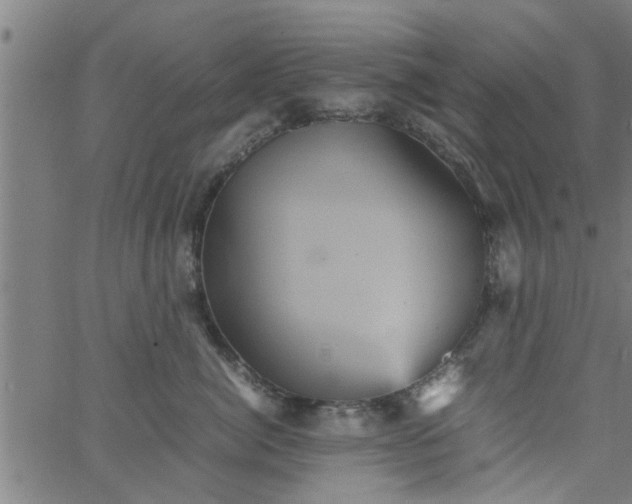 X0000066540764200603311845