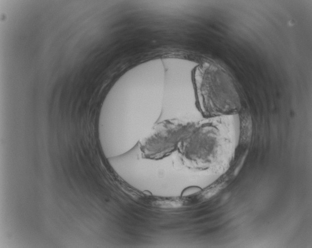 X0000066540765200603311845